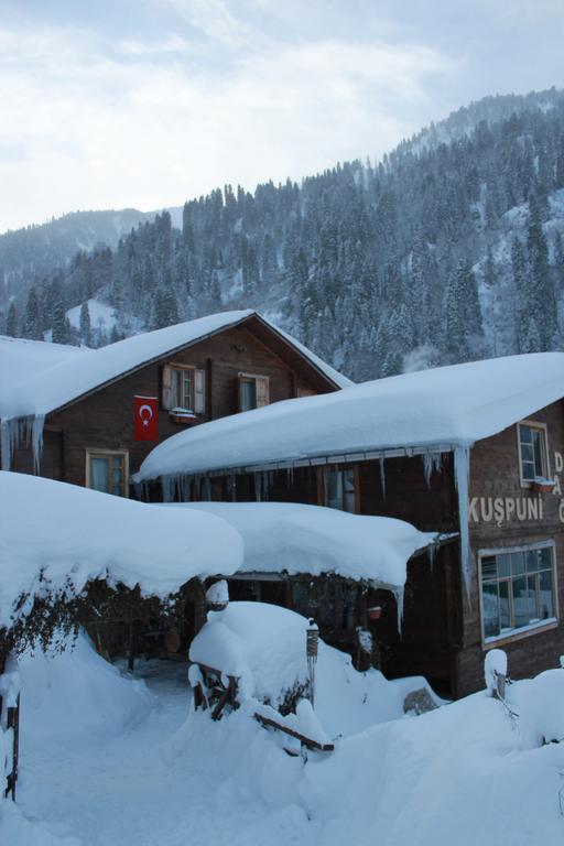 Kuspuni Dag Evi Villa Çamlıhemşin Dış mekan fotoğraf